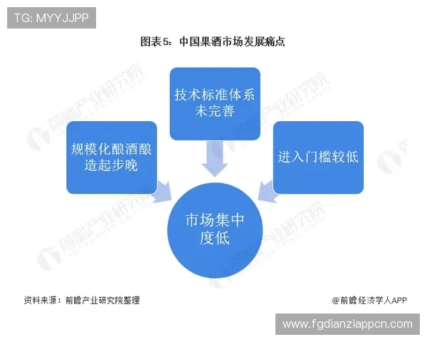 全面解析FC电子市场的产品类别与采购指南