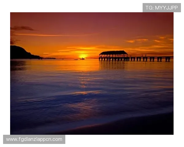 探索海岛老虎机官网首页入口感受热带海岛的自然美景与刺激的老虎机游戏体验