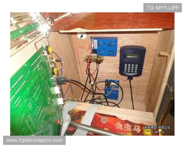 分析不同老虎机内部线路的特点及其对玩家投注策略的影响因素