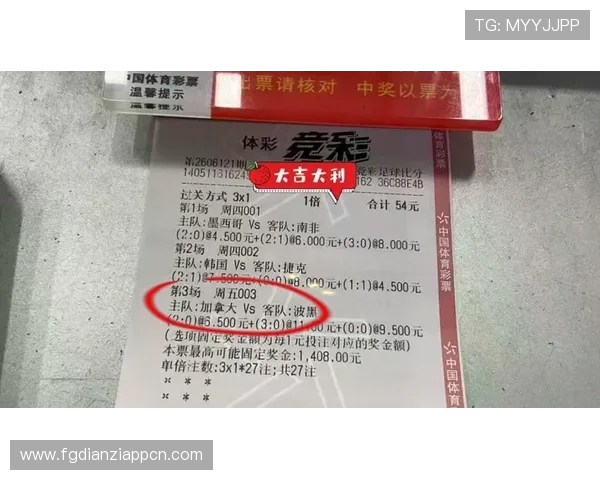 加拿大对波黑今晚比赛赛后点评:比赛精彩瞬间、球员表现与未来展望 加拿大对波黑今晚比赛赛后点评:比赛精彩瞬间、球员表现与未来展望